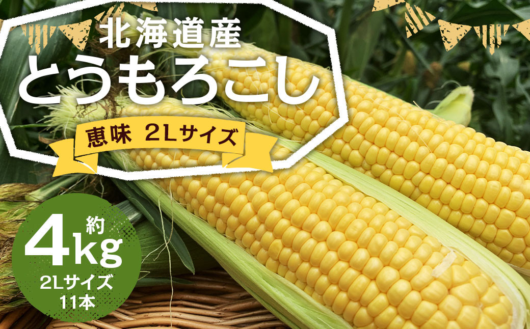 北海道産 とうもろこし 恵味 2Lサイズ 11本 約4kg 1箱
