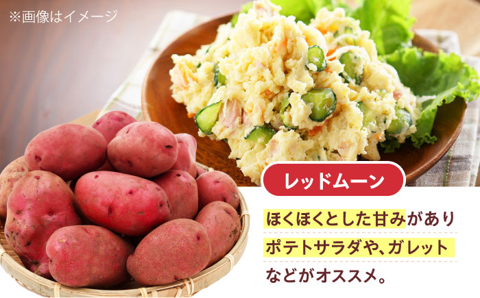 毎日の食卓の味方！玉ねぎ 5kg じゃがいも 5kg 常備野菜セット メークイン レッドムーン （5月下旬から6月頃発送予定)