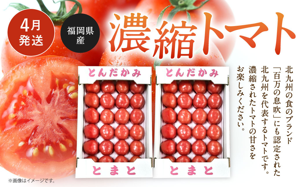 【福岡県産 特産品 年4回定期便】うまうまもぐもぐ 厳選 野菜 果物 セット