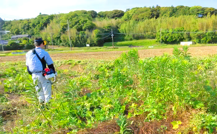 おすすめ オススメ こだわり 先祖供養 供養 草刈り お墓 代行 遺品 片付け