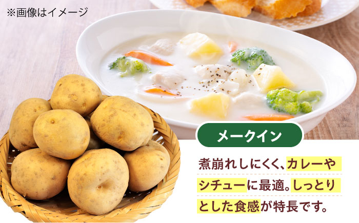 毎日の食卓の味方！玉ねぎ 5kg じゃがいも 5kg 常備野菜セット メークイン レッドムーン （5月下旬から6月頃発送予定)