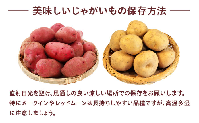 毎日の食卓の味方！玉ねぎ 5kg じゃがいも 5kg 常備野菜セット メークイン レッドムーン （5月下旬から6月頃発送予定)