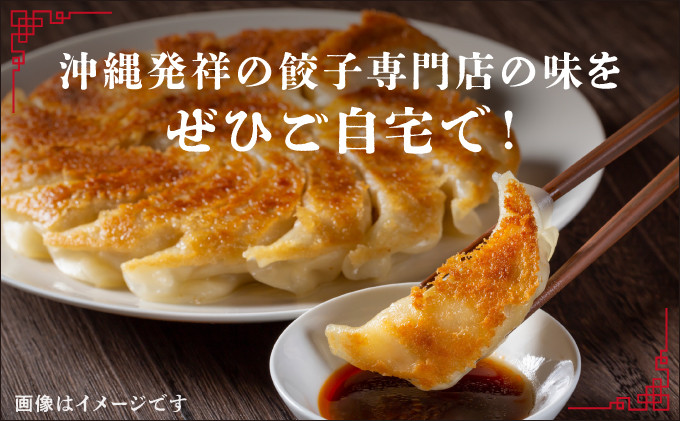 かめかめ島餃子 (豚肉・にんにくあり) 30個 × 2袋 | 工場直売 | 簡単調理 手軽 | 沖縄 お取り寄せ グルメ 冷凍