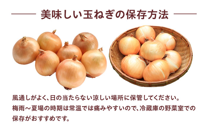 新鮮！しゃきしゃき！ 新玉ねぎ 5kg 七宝早生