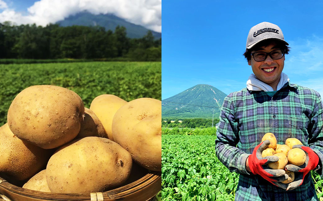 北海道産 じゃがいも 男爵 玉ねぎ セット M~2Lサイズ混載 各約10kg 合計約20kg 2箱 山田農場