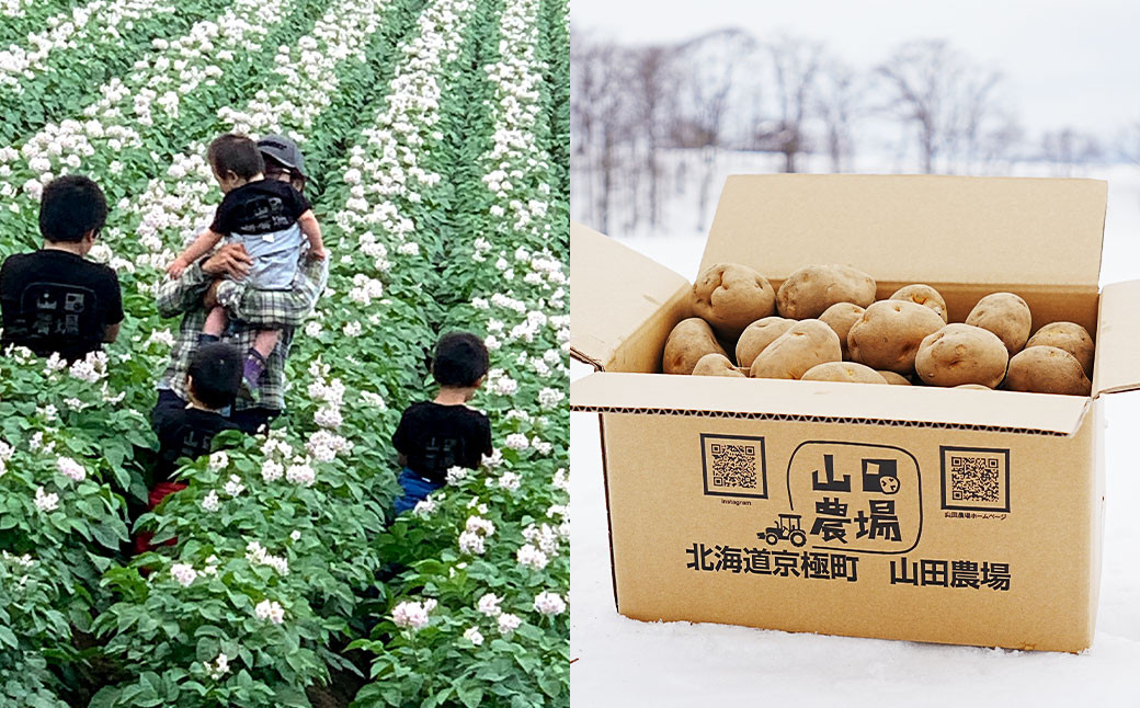 北海道産 じゃがいも 男爵 キタアカリ 食べ比べセット M~2Lサイズ混載 各約5kg 合計約10kg 2箱 山田農場