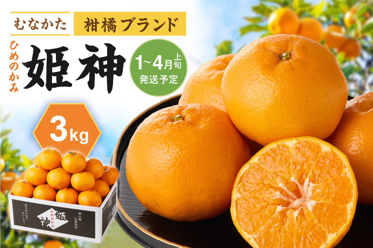 旬のミカンをお届け!JAむなかた柑橘ブランド「姫神」3kg 甘くておいしいみかん