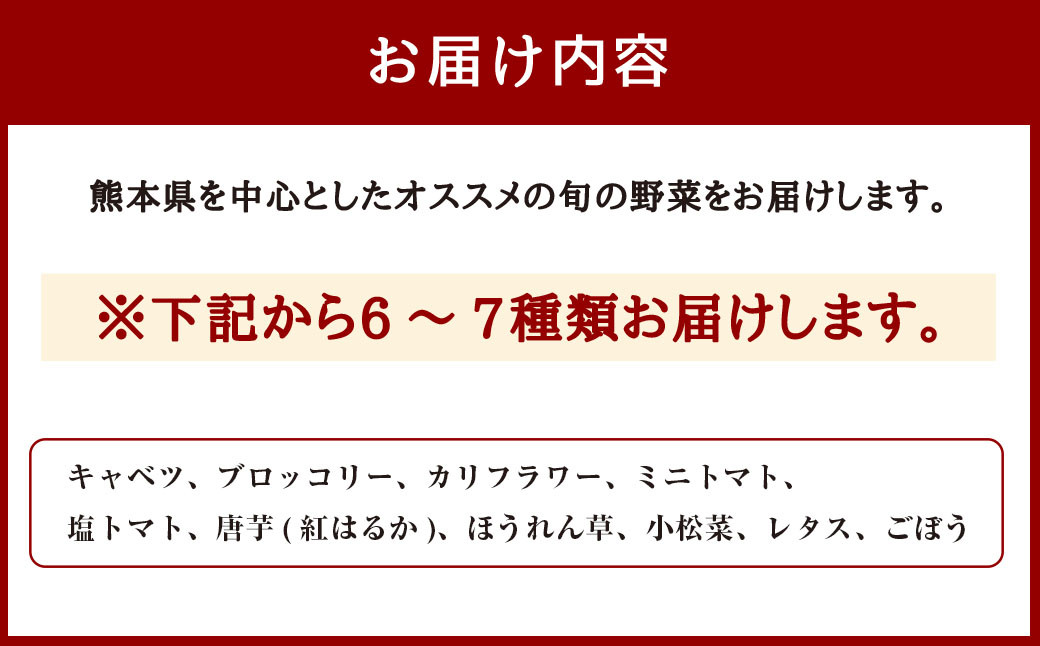 くまもと旬の野菜セット