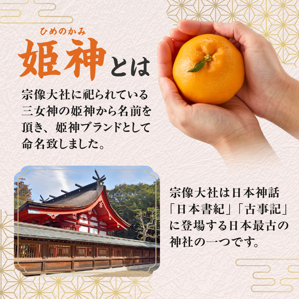 旬のミカンをお届け!JAむなかた柑橘ブランド「姫神」3kg 甘くておいしいみかん