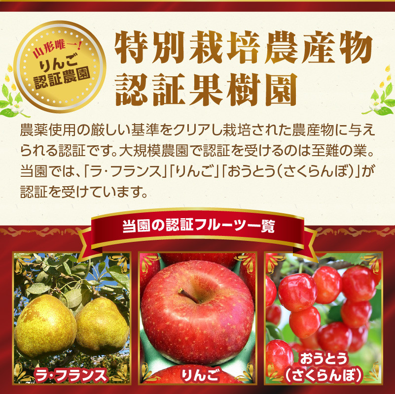 ≪先行受付≫ 特別栽培 大玉 ラフランス 約5kg 秀品4L～3L 【2027年1月より順次発送予定】