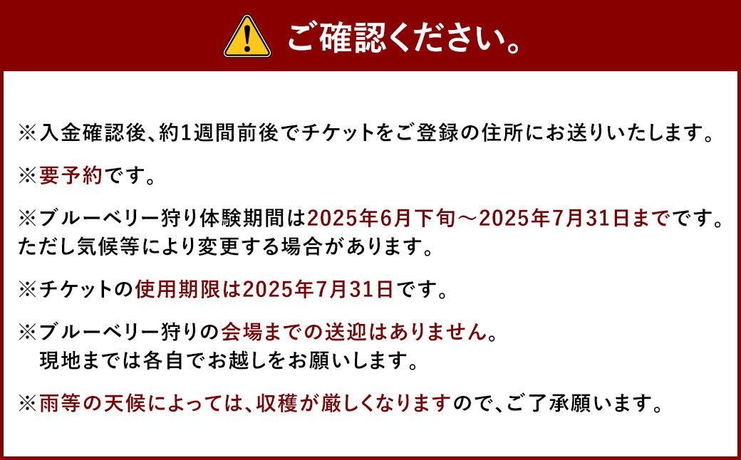 ブルーベリー摘み取り体験 (1名様)