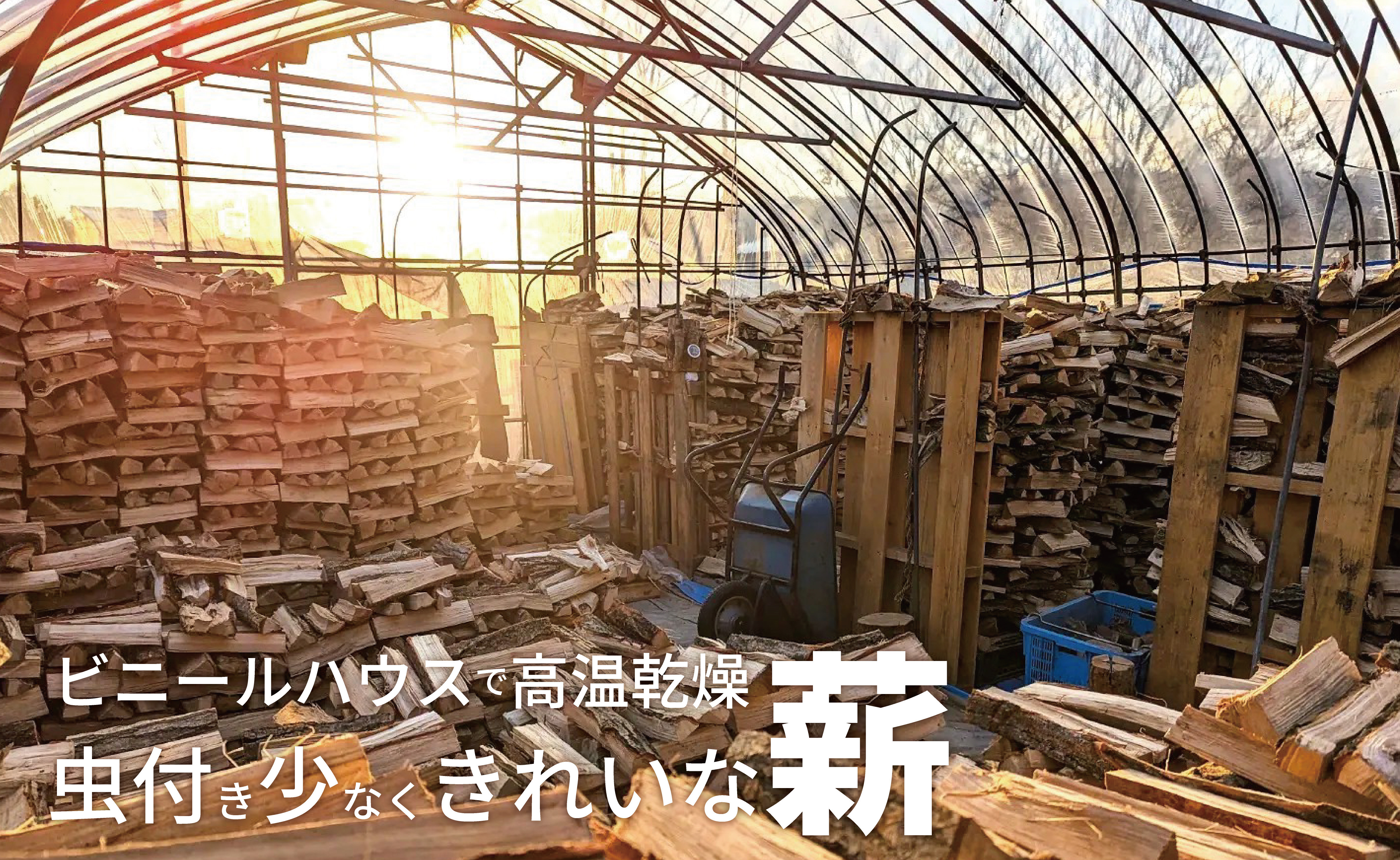 温室育ちのつる子ちゃん 乾燥薪約10kg 約30cm 小~中割り 広葉樹(ナラ)