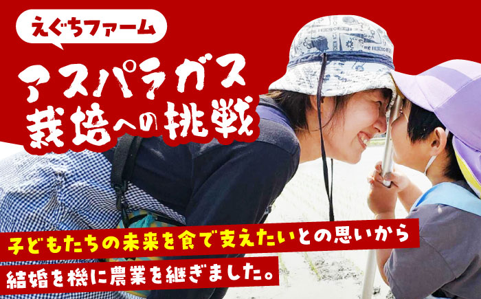食品 野菜 アスパラ アスパラガス あすぱら あすぱらがす 佐賀県 佐賀 国産