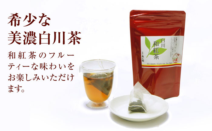 紅茶 ティー バッグ 国産 お茶 茶葉 ギフト 贈り物 贈答 和紅茶 ギフト紅茶 贈り物 セット 5袋 40個 ご当地 定期便