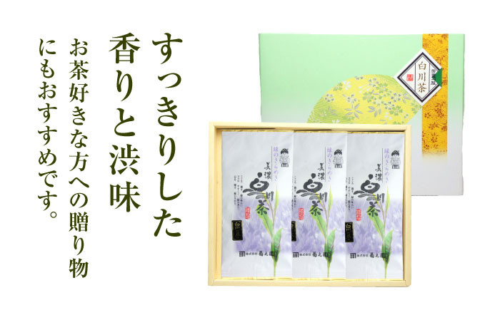 本格 高級茶セット 化粧箱入り お茶 煎茶 白川茶 茶葉 ギフト 白川町