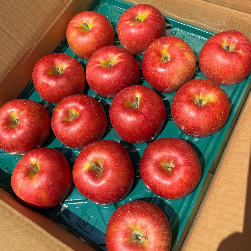 世界で最も生産されている「りんごの王様」