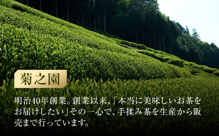 定期便 本格 高級茶セット 化粧箱入り お茶 煎茶 白川茶 茶葉 ギフト 白川町