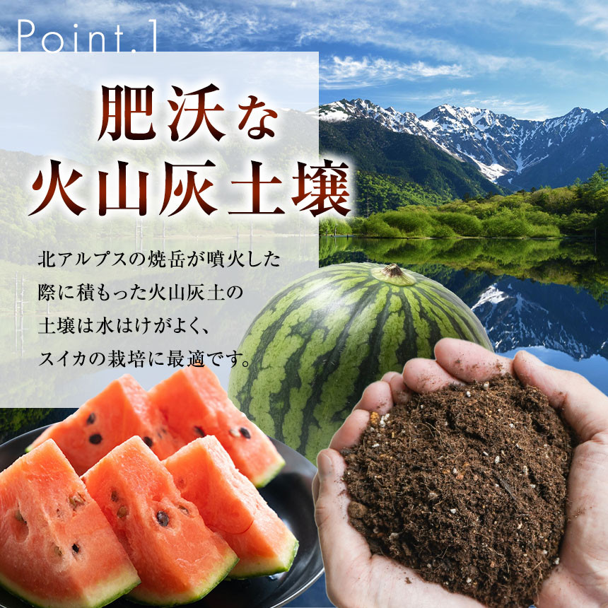 昼夜の温度差と豊富な日照量、生産者の愛情がおいしいすいかをはぐくみます。