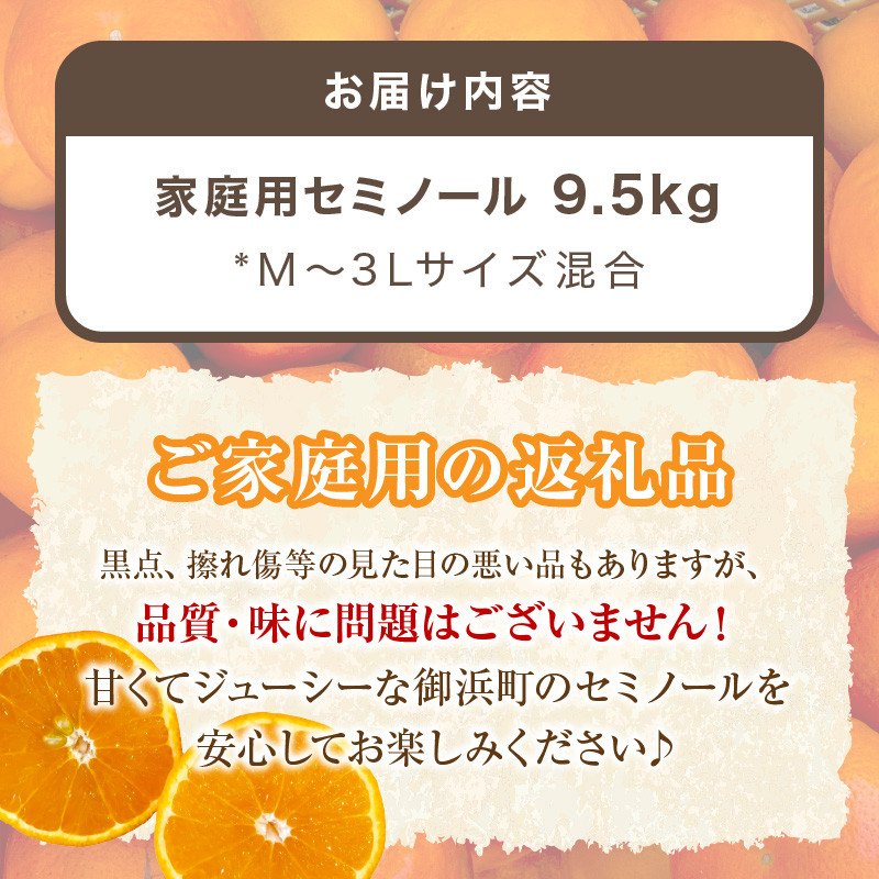 【2026年発送 先行予約品】