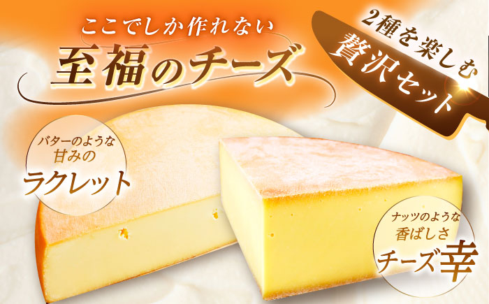 チーズ ナチュラルチーズ ハード 生乳 ミルク 乳製品 おつまみ ギフト 北海道