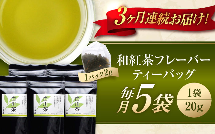 定期便 香る 煎茶フレーバー ティーバッグ 5袋セット お茶 国産 岐阜 白川町