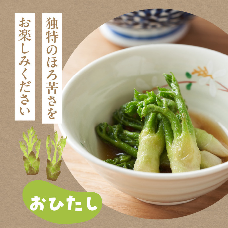 春を先取り♪厳選タラの芽