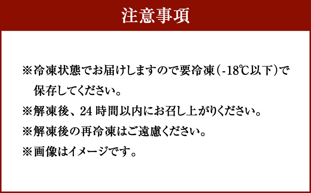 【訳あり】岡垣町波津漁港 お刺身用 ヤリイカ（剣先イカ）
