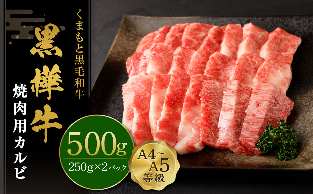 くまもと黒毛和牛 黒樺牛 A4~A5等級 焼肉用 カルビ 250g×2 計500g
