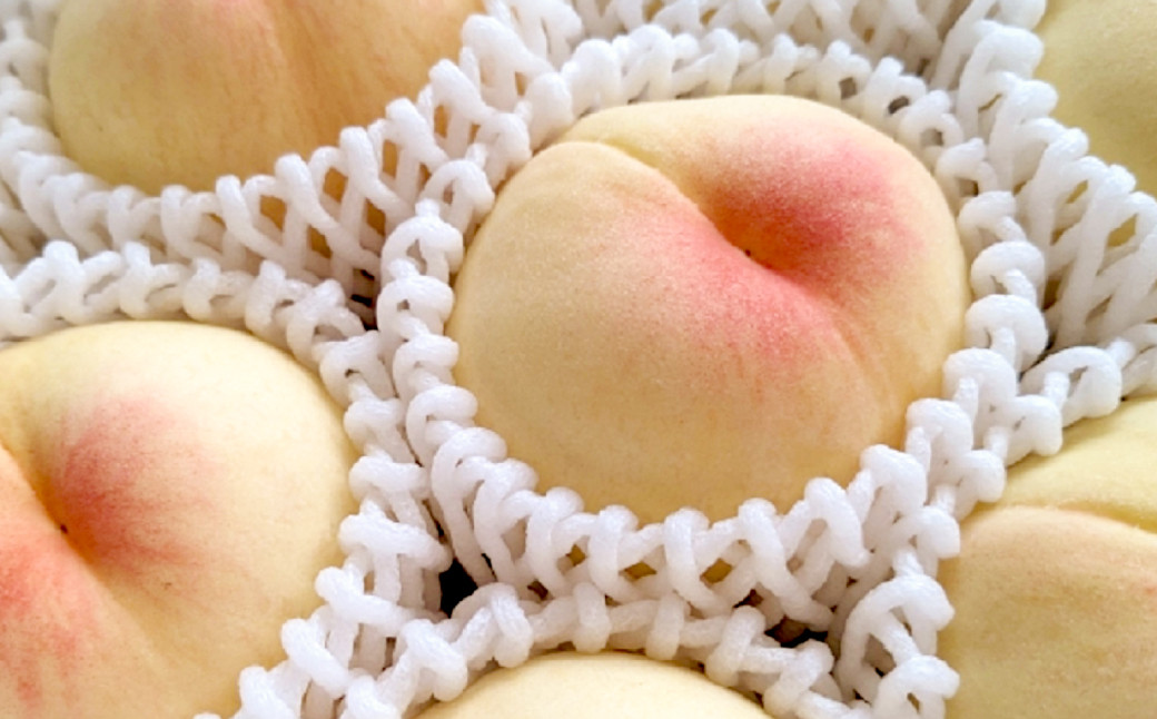 【訳アリ家庭用】岡山白桃 3.8kg〈もっとも旬な品種の桃をお届け〉