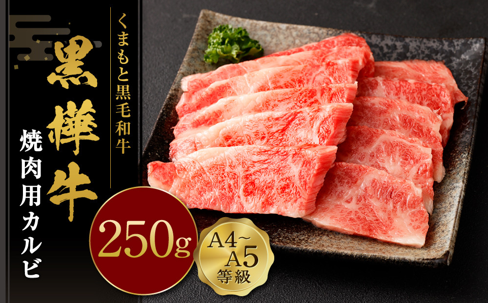 くまもと黒毛和牛 黒樺牛 A4~A5等級 焼肉用 カルビ 250g