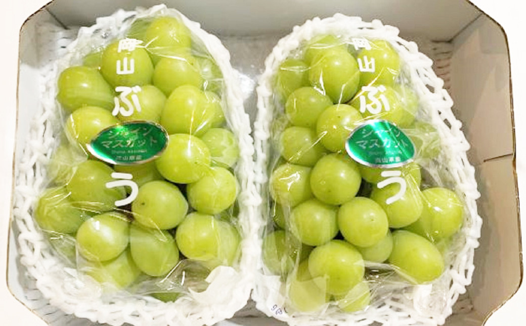 岡山シャインマスカット 2～4房 1.5キロ以上