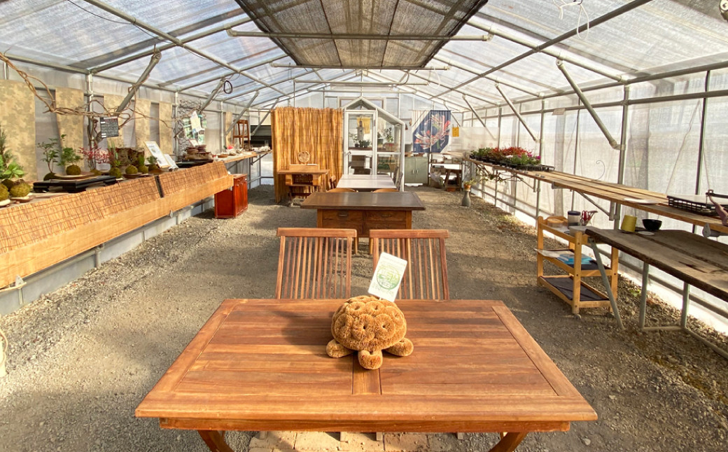 【苔玉づくり】ペア体験チケット（１個ずつ制作）