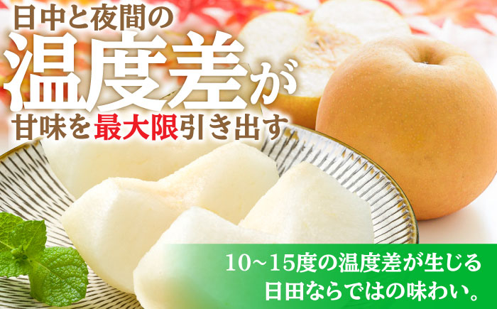 梨 なし 幸水 こうすい 果物 くだもの フルーツ ふるーつ 旬