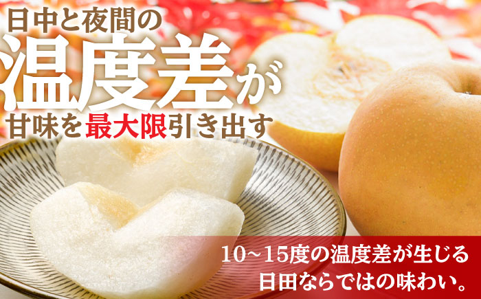 なし 梨 日田 和梨 果物 くだもの 果汁 フルーツ デザート 旬 あきづき