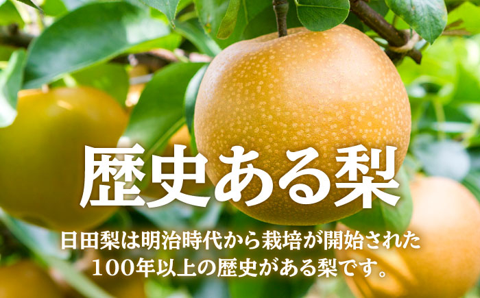 なし 梨 日田 和梨 果物 くだもの 果汁 フルーツ デザート 旬 新興 しんこう