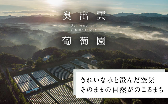 ワイン 国産 セット 白ワイン ジュース ぶどうジュース グレープジュース