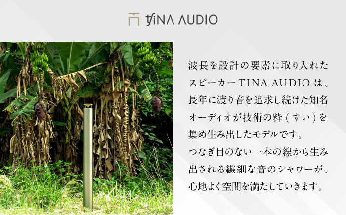 知名オーディオ TINA AUDIO  商品券 券 商品 チケット ギフト 沖縄市  おすすめ 日本生産 沖縄 沖縄県産 高級
