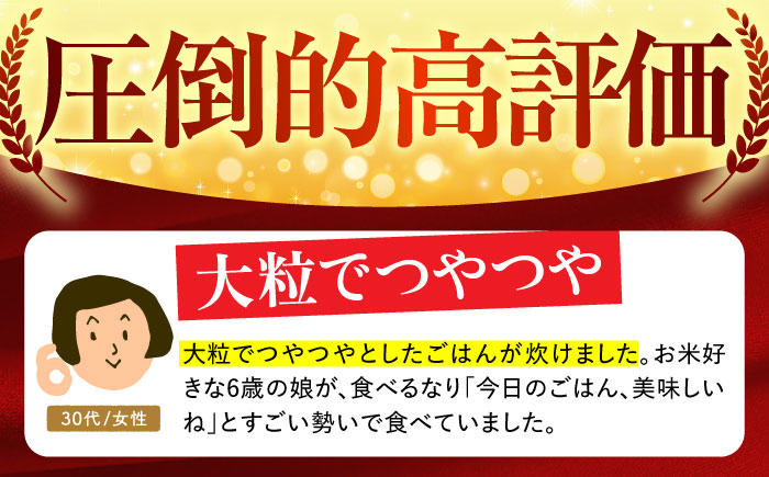 【全12回定期便】さがびより・夢しずく 白米 5kg【五つ星お米マイスター厳選】 [HBL032]