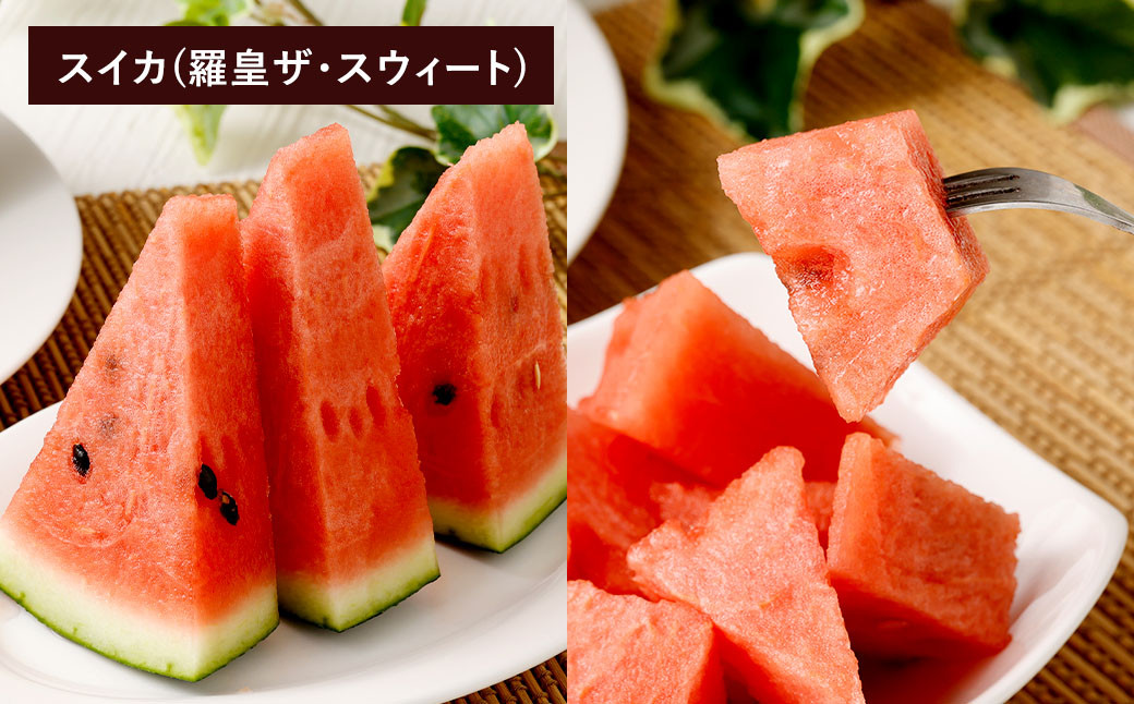 【フルーツ2回定期便】 スイカ＋アールスメロン 【2025年5月下旬～6月上旬より発送予定】