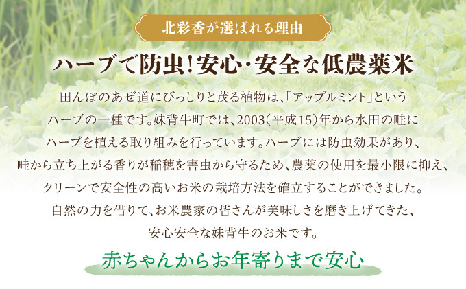 ハーブのおかげで農薬の使用を最小限に抑えることができ、クリーンな安全性の高いお米を栽培しています。
