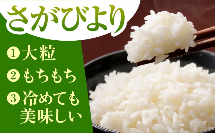 【全3回定期便】さがびより 白米 5kg【五つ星お米マイスター厳選】 [HBL019]