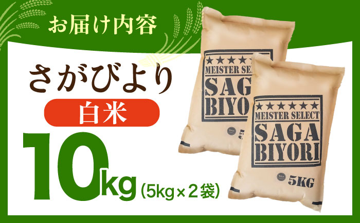 さがびより 白米 10kg ( 5kg×2袋 ) 【五つ星お米マイスター厳選】 [HBL004]