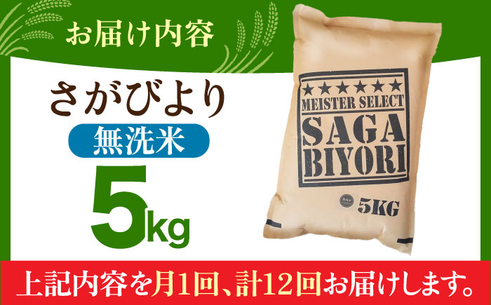 【全6回定期便】さがびより 無洗米 5kg【五つ星お米マイスター厳選】 [HBL026] 定期便 定期 特A評価 特A 無洗米