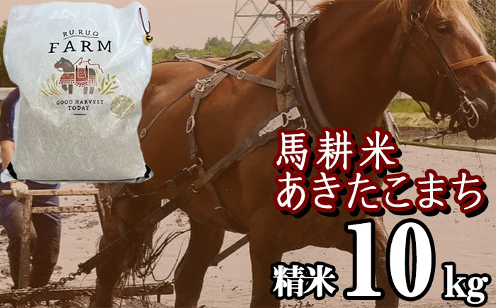 パッケージは画像と異なる場合がございます。