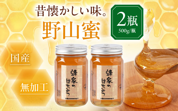 はちみつ 野山蜜 500g×2本 はちみつ 蜂蜜 ハチミツ 国産はちみつ ハニー