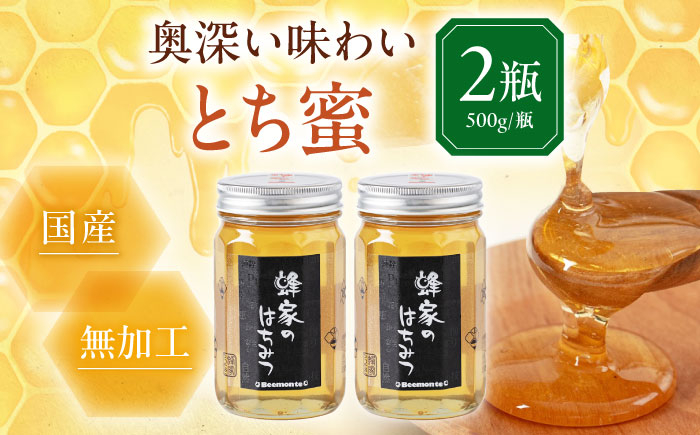 はちみつ とち蜜 500g×2本 はちみつ 蜂蜜 ハチミツ 国産はちみつ ハニー