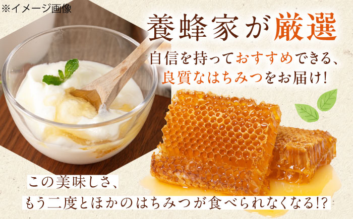 はちみつ とち蜜 500g×2本 はちみつ 蜂蜜 ハチミツ 国産はちみつ ハニー 