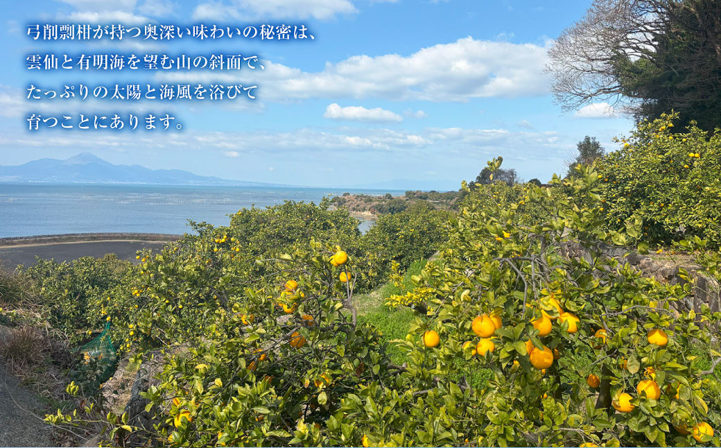 ～幻の柑橘～　弓削瓢柑（ゆげひょうかん） 約5kg