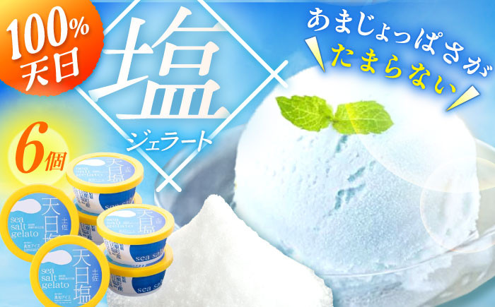 アイス アイスクリーム 塩 ジェラート 高知 あいす あいすくりーむ ギフト 贈り物 贈答