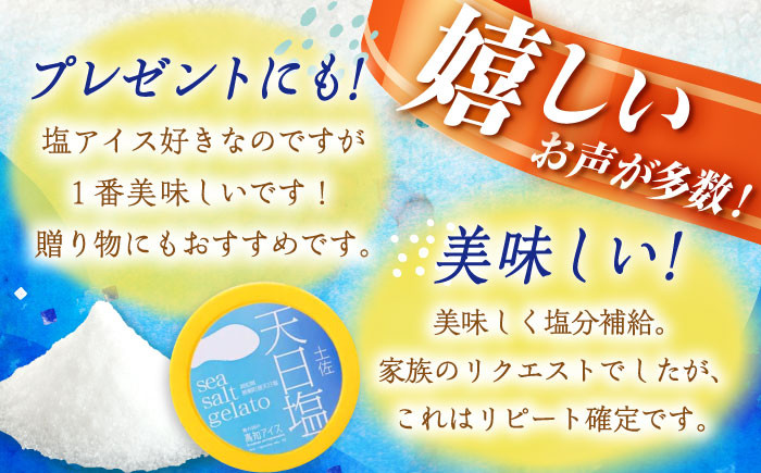 アイス アイスクリーム 塩 ジェラート 高知 あいす あいすくりーむ ギフト 贈り物 贈答